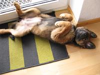 2009_02_24 bella_001